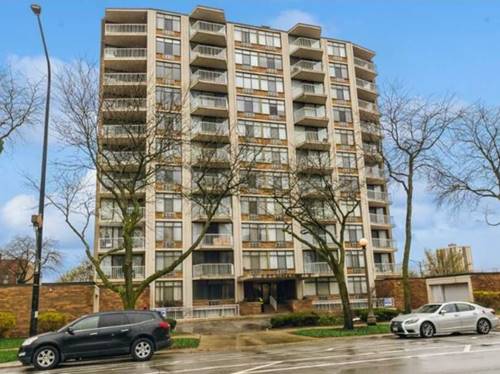 3100 S King Unit 1102, Chicago, IL 60616