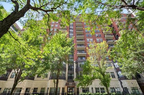 1250 S Indiana Unit 1201, Chicago, IL 60605