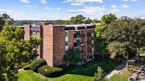4900 Forest Unit 205, Downers Grove, IL 60515