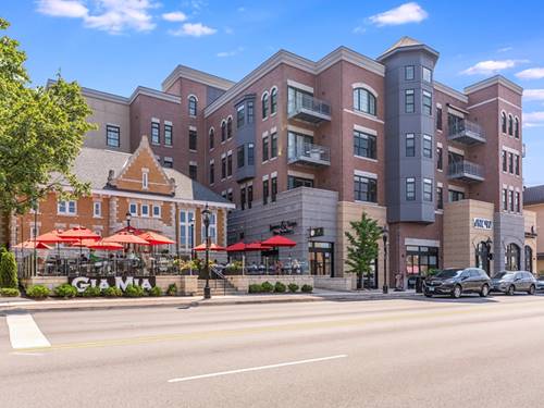 110 S Washington Unit 203, Naperville, IL 60540