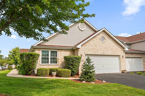 687 Grace, New Lenox, IL 60451