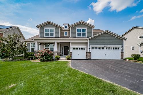 3907 Nannyberry, Naperville, IL 60564