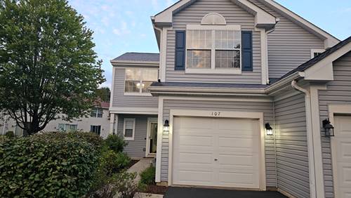 107 Capella Unit 107, Lake In The Hills, IL 60156