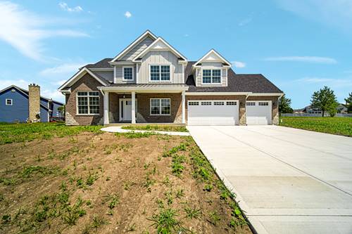22559 Country, New Lenox, IL 60451