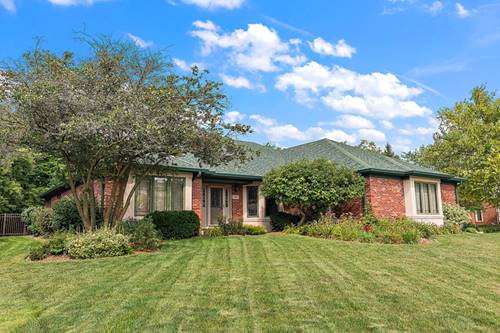 10993 Pioneer, Frankfort, IL 60423