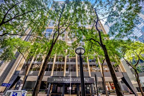233 E Erie Unit 1703, Chicago, IL 60611