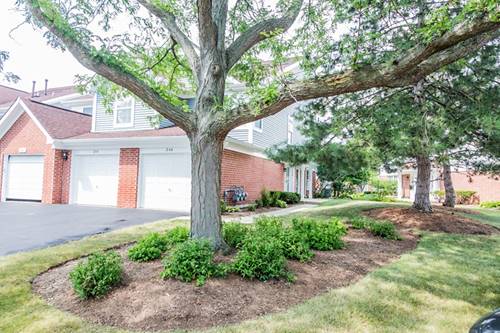 238 Mansfield, Roselle, IL 60172