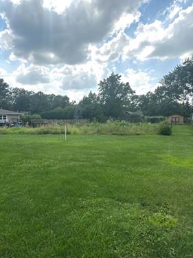 13932 S Elm, Homer Glen, IL 60491