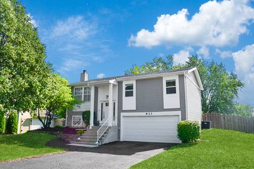 923 Capistrano, Bartlett, IL 60103