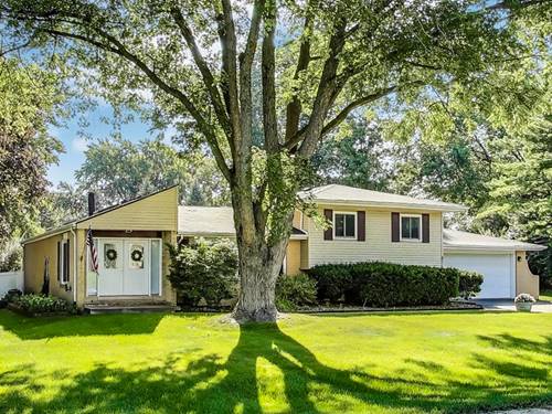 6717 Bentley, Darien, IL 60561