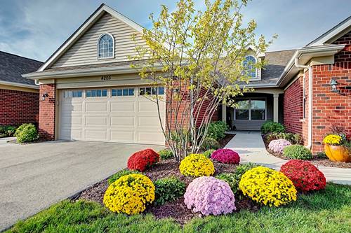 4110 Pond Willow, Naperville, IL 60564