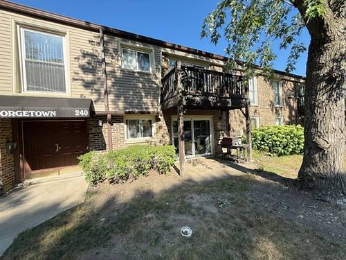 240 N Carter Unit 102, Palatine, IL 60067