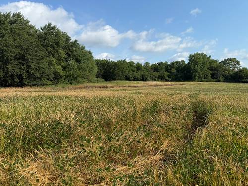 1400 (apx) W Exchange, Crete, IL 60417