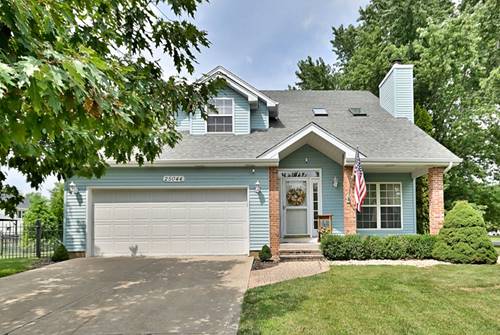 25044 Ambrose, Plainfield, IL 60585