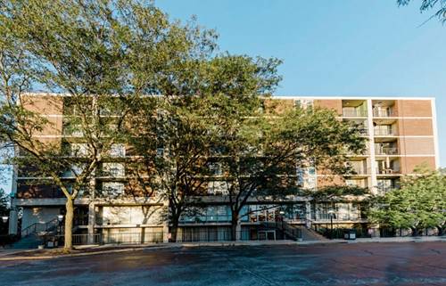 1043 S York Unit 209, Bensenville, IL 60106