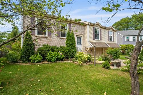 371 Larchmont, Naperville, IL 60565