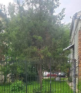 1748 N Harding, Chicago, IL 60647