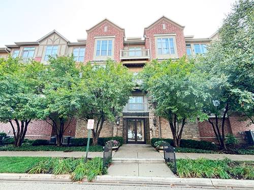 1781 Tudor Unit 308, Northbrook, IL 60062