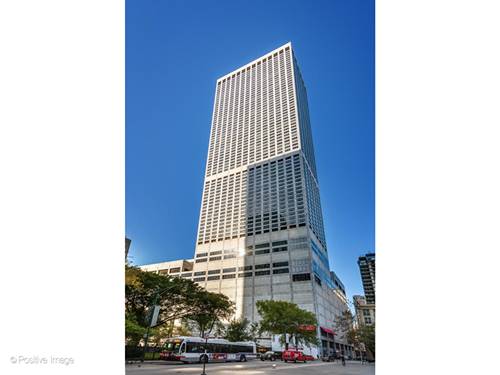 180 E Pearson Unit 6103-6203, Chicago, IL 60611