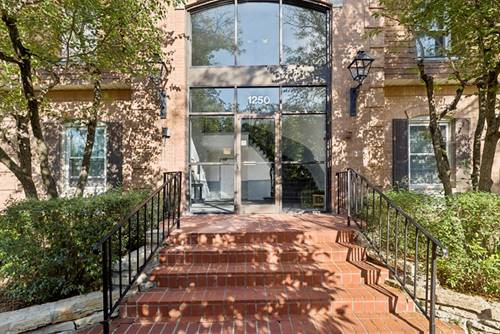 1250 Park Unit 435, Highland Park, IL 60035