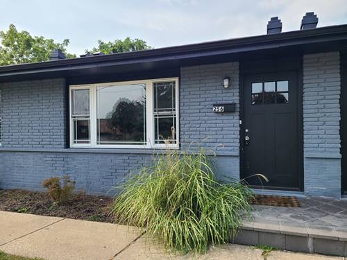 256 N Slusser Unit 256, Grayslake, IL 60030