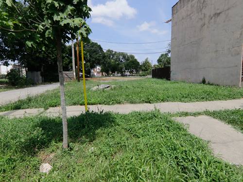 2948 W Wilcox, Chicago, IL 60612