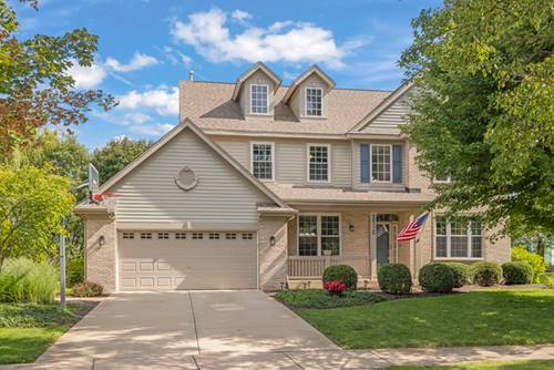 26115 Mapleview, Plainfield, IL 60585