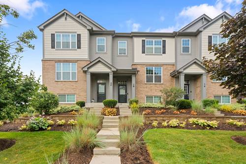 18 E Heritage, Arlington Heights, IL 60004