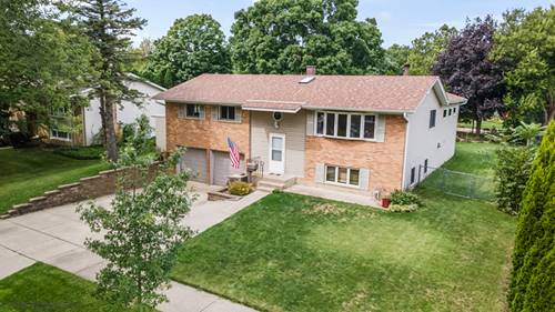 1018 E Kitson, Palatine, IL 60074