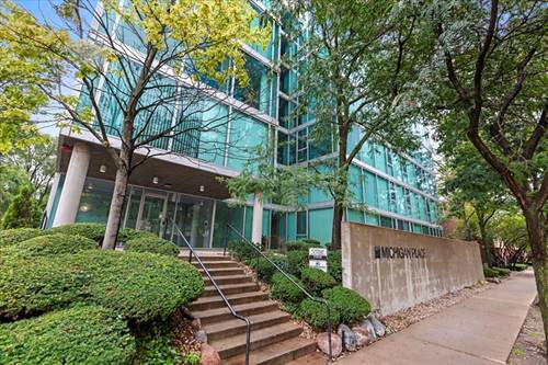 3115 S Michigan Unit 301, Chicago, IL 60616
