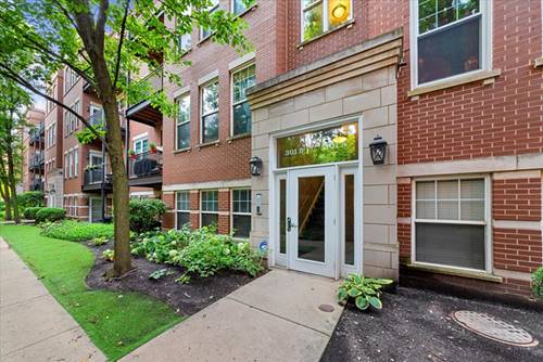 301 W Goethe Unit 203, Chicago, IL 60610