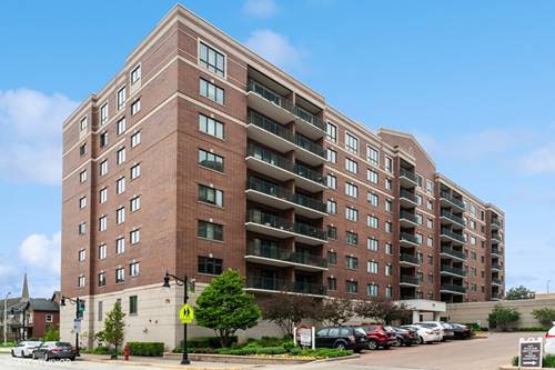 770 Pearson Unit 209, Des Plaines, IL 60016