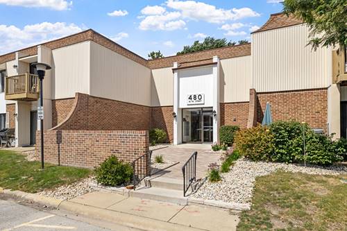 480 74th Unit 105, Downers Grove, IL 60516