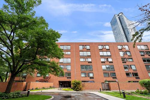 1115 S Plymouth Unit 124, Chicago, IL 60605