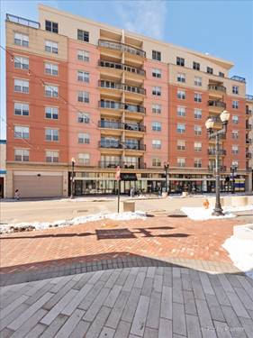 50 S Grove Unit 514, Elgin, IL 60120