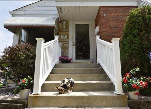 9221 S Avers, Evergreen Park, IL 60805
