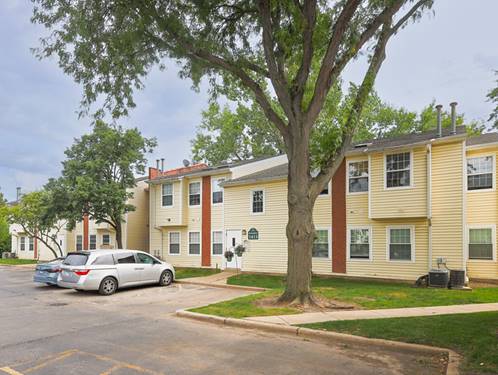 1417 E Wyndham Unit 103, Palatine, IL 60074
