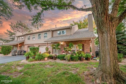 9337 Waterford, Orland Park, IL 60462