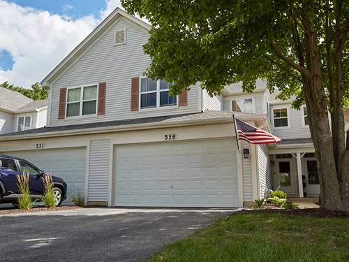 529 Horizon, Bartlett, IL 60103