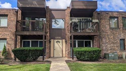 1201 Pleasant Run Unit 312, Wheeling, IL 60090