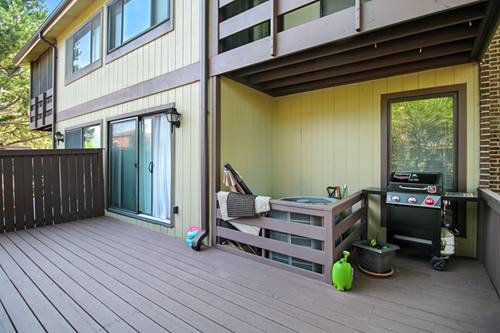 6 W Pebble Unit A, Palos Hills, IL 60465