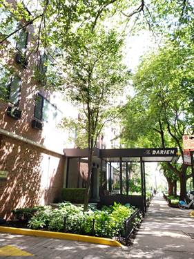 3100 N Lake Shore Unit 1013, Chicago, IL 60657