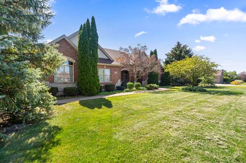 8421 W Blackthorne, Frankfort, IL 60423