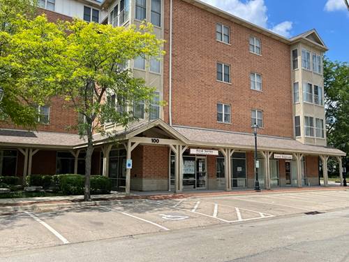 50 N Bokelman Unit 333, Roselle, IL 60172