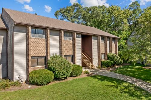 418 Heine Unit 418, Elgin, IL 60123