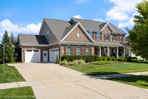 4307 Lacebark, Naperville, IL 60564