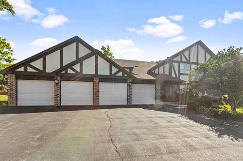 4 Potawatomie Unit 4, Indian Head Park, IL 60525