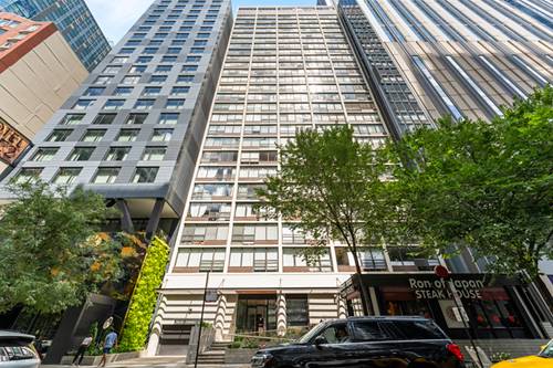 230 E Ontario Unit 1703, Chicago, IL 60611