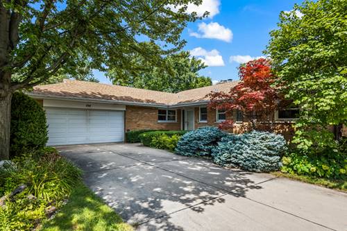 154 Cornell, Des Plaines, IL 60016