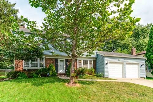 610 Checker, Buffalo Grove, IL 60089